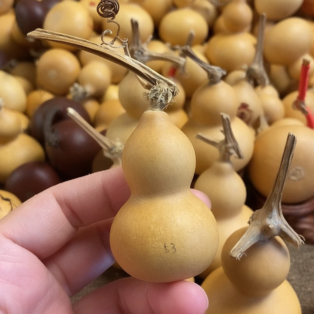 文玩葫芦 完美主义者 慎拍53