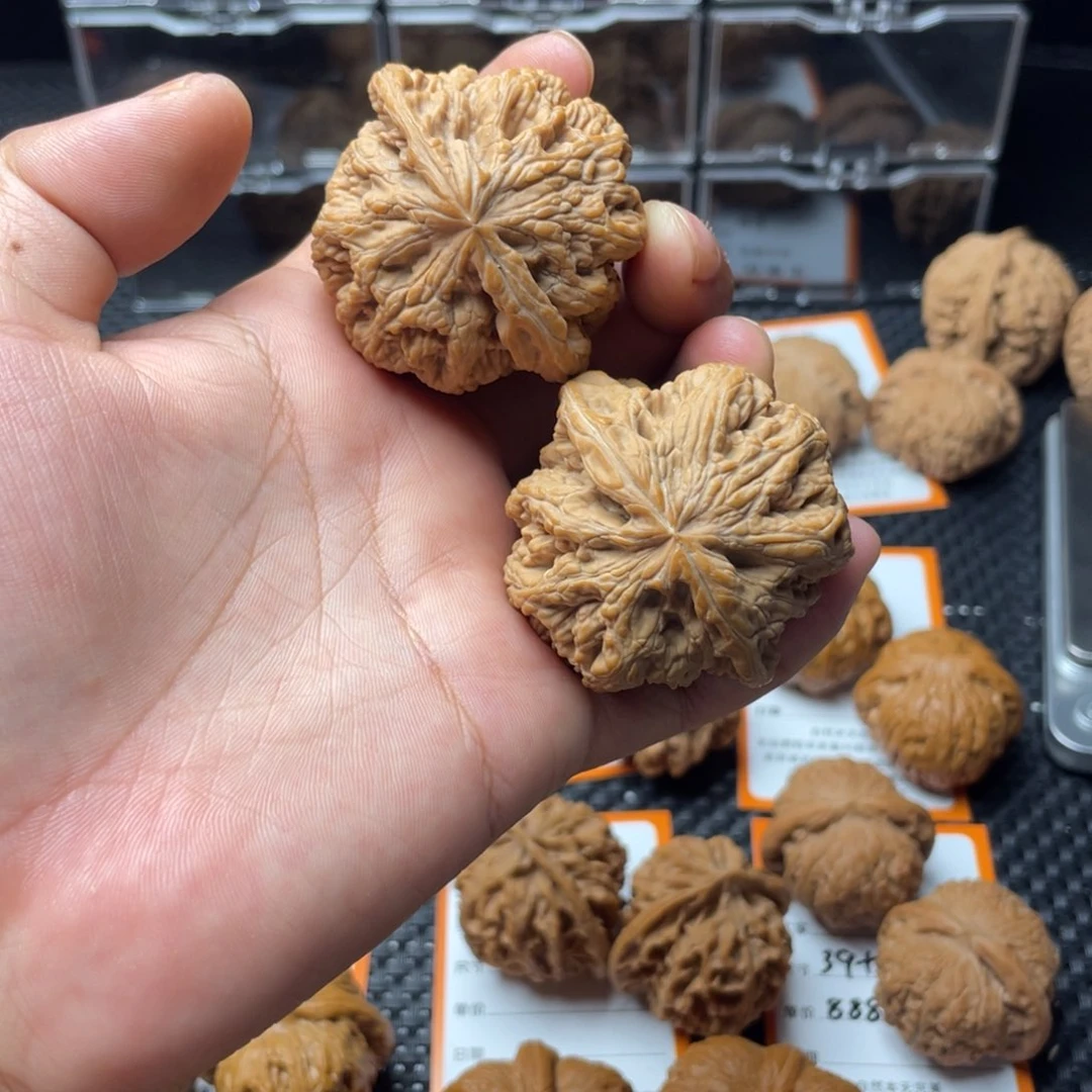 把件文玩核桃大粗筋47全品