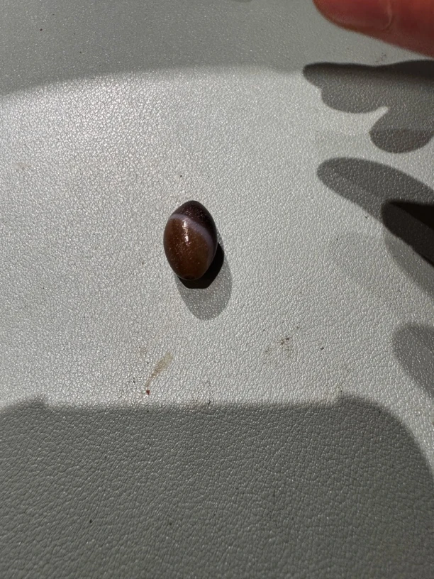 藏地密码，藏式珠子 91