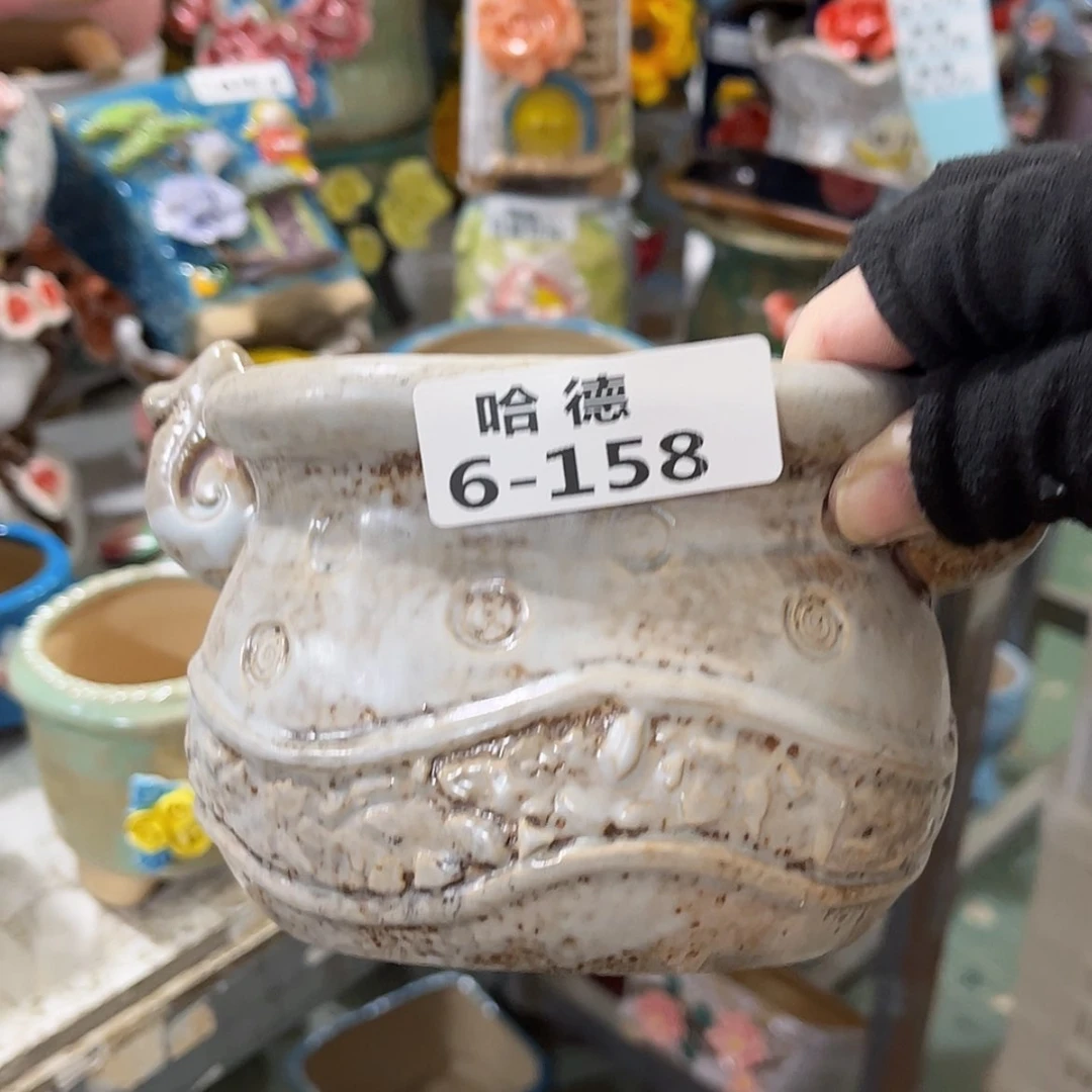 【闪购商品】红陶6158