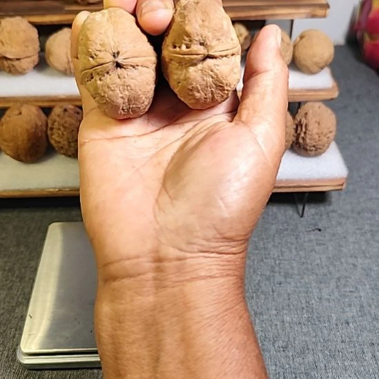 文玩核桃把件紅旺云铁33号43mm