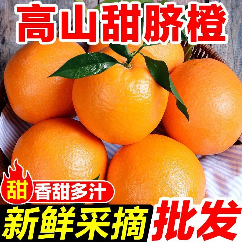 【正宗高山脐橙】纽荷尔脐橙皮薄肉厚果园直发应季现摘甜橙子