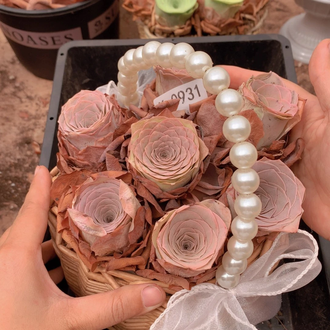 0931精品货带篮子
