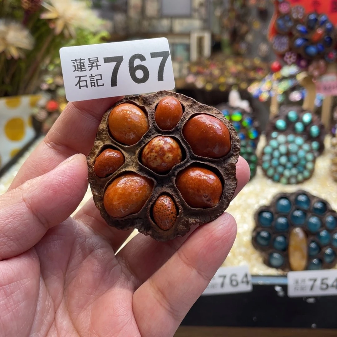 核桃木/黑胡桃（胡桃木）767