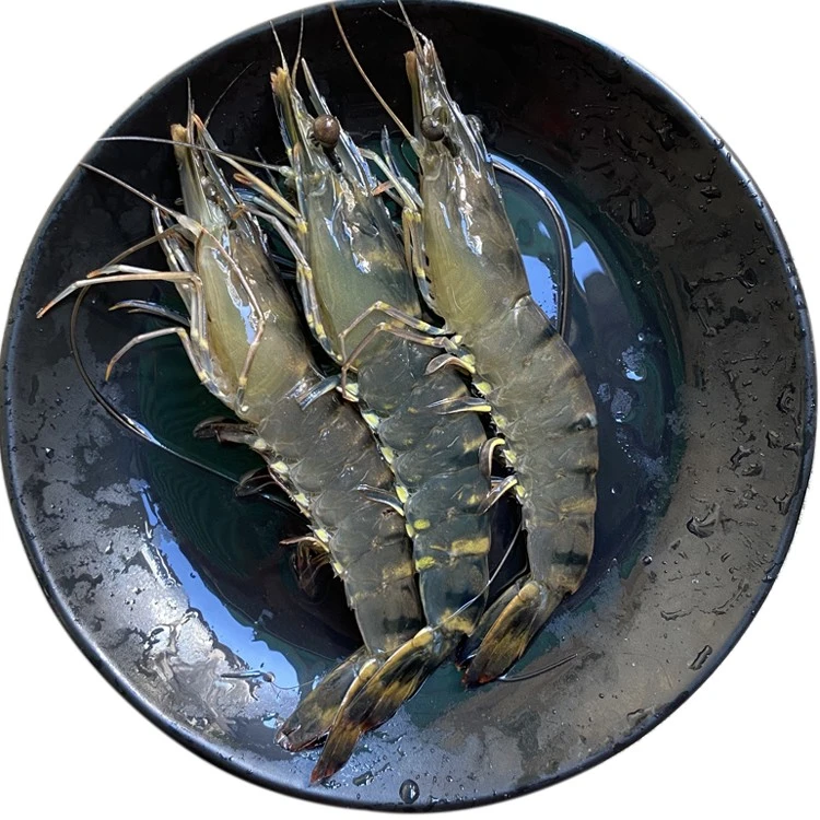 【顺丰发货】福建东山岛活冻黑虎虾250g（9-10只/盒）活虾速冻非真空