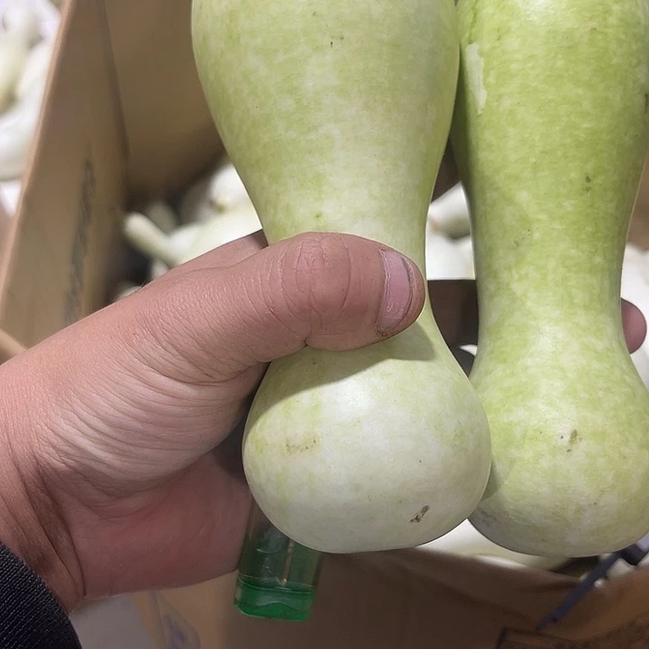 非洲紫檀（红花梨）伏**欲