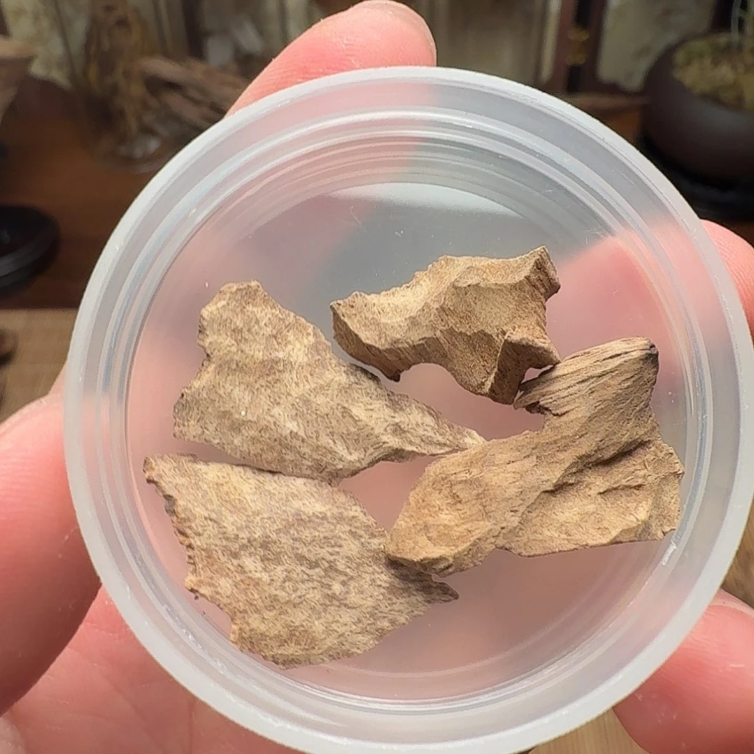 沉香芽庄正区碎料