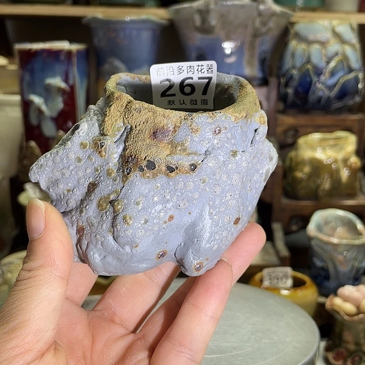 狼盆内口径5高度7