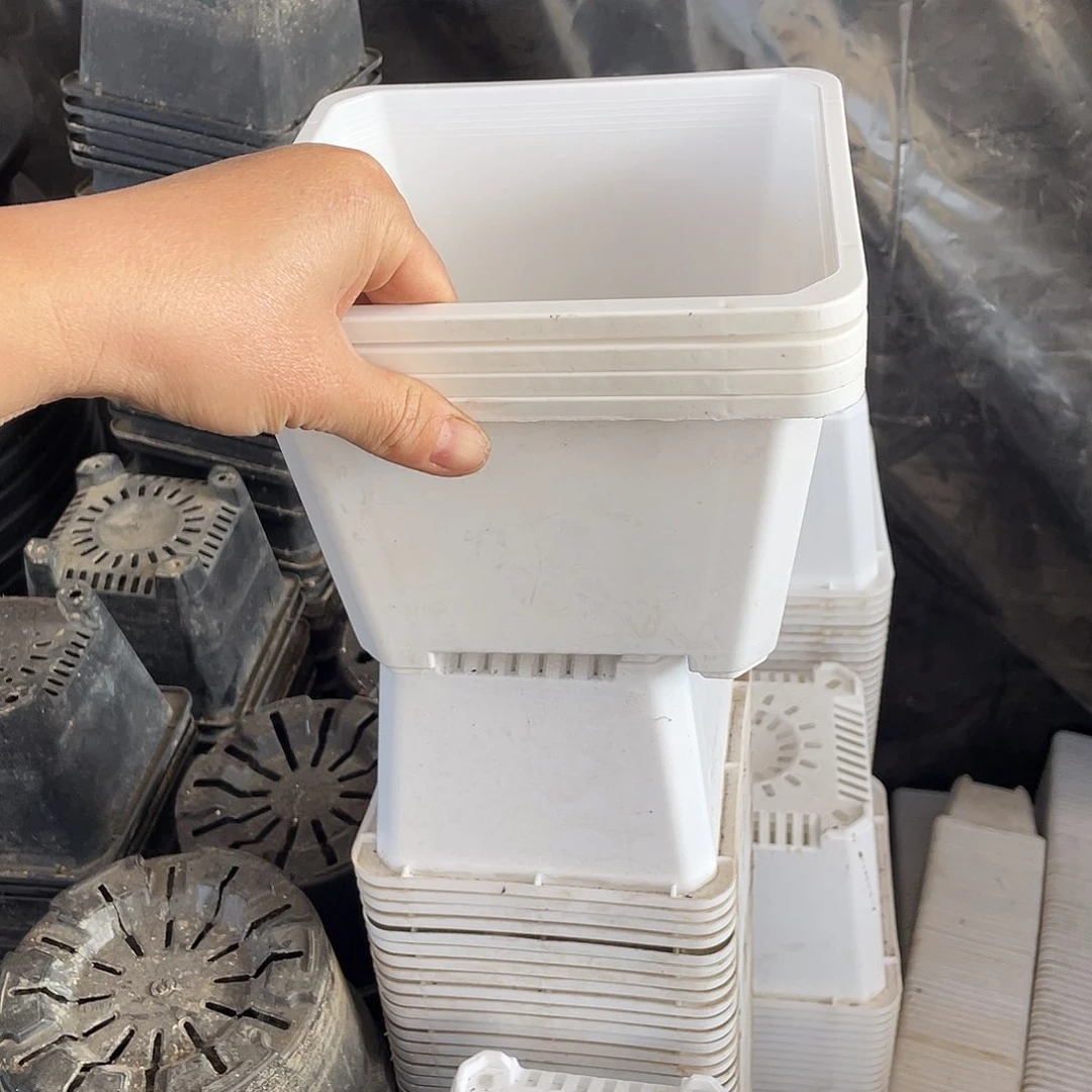 旧口径17.5高12白方盆10个