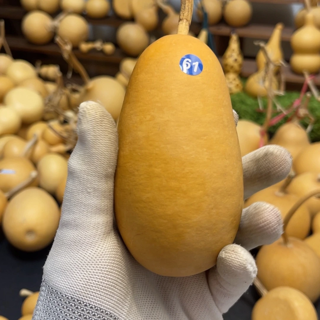 闪拍葫芦链接-61号品