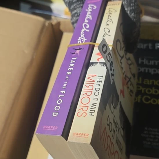 英文书562号两本一套