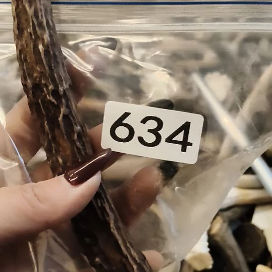 菜***羊鹿角鹿角鹿角鹿角鹿角鹿角鹿角鹿角鹿角
