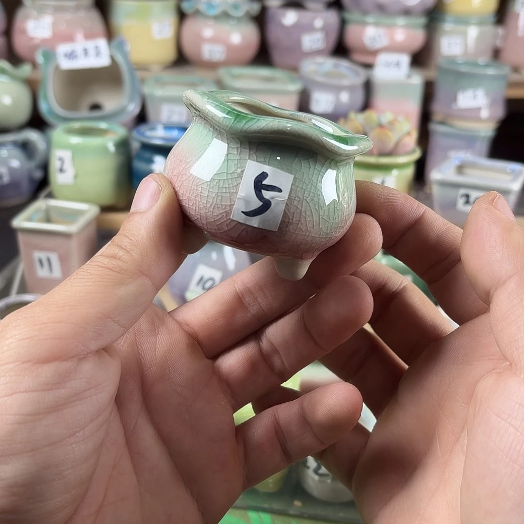 陶瓷量货/口高深浅搭配发6