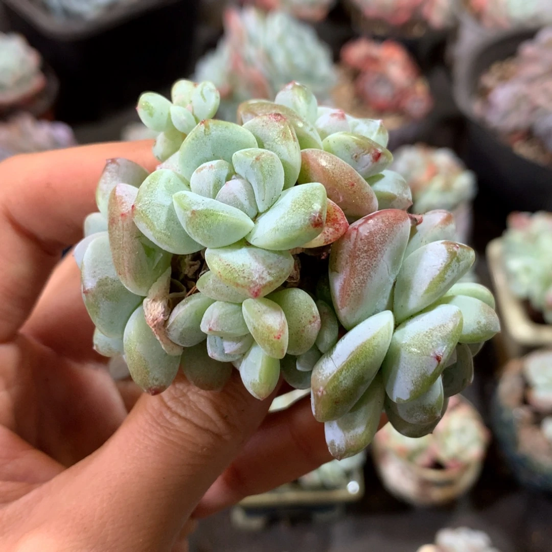 哈哈哈哈哈哈哈哈哈哈