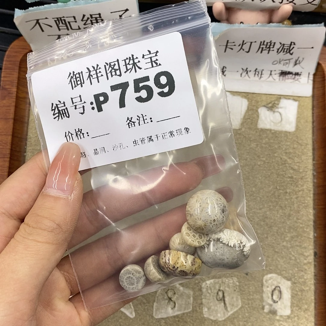 硅化珊瑚（珊瑚玉）未镶嵌颈饰F****心