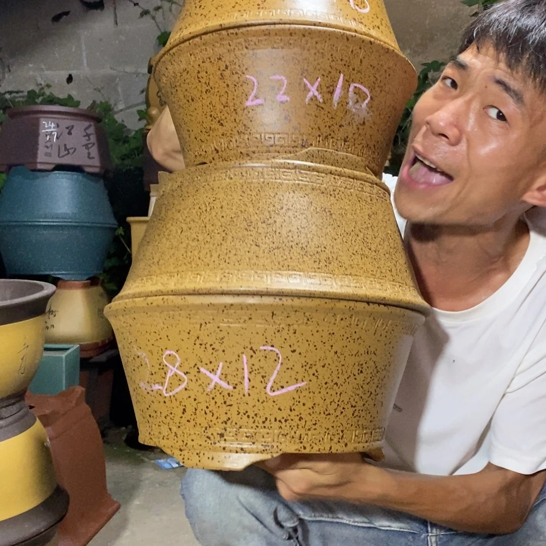 紫砂紫砂紫砂紫砂