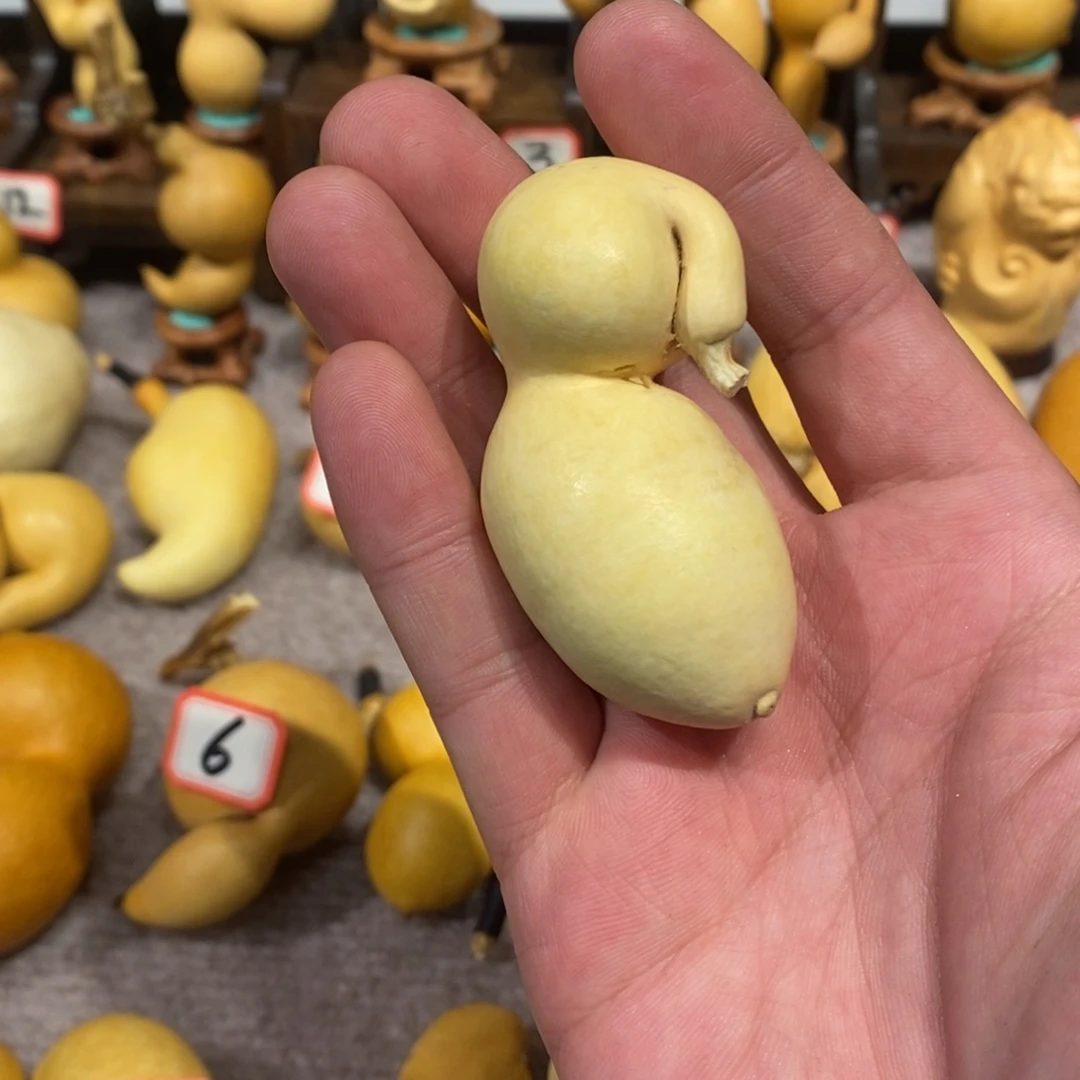 长***生Aaaaaaaaaaaaaaaaaa