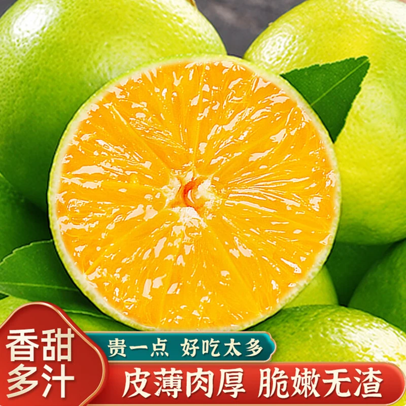 云南青皮冰糖橙新鲜应季水果现摘现发皮薄多汁清甜