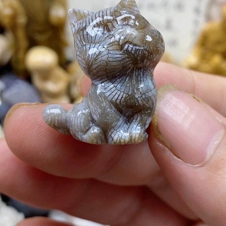 颈饰未镶嵌硅化珊瑚（珊瑚玉）