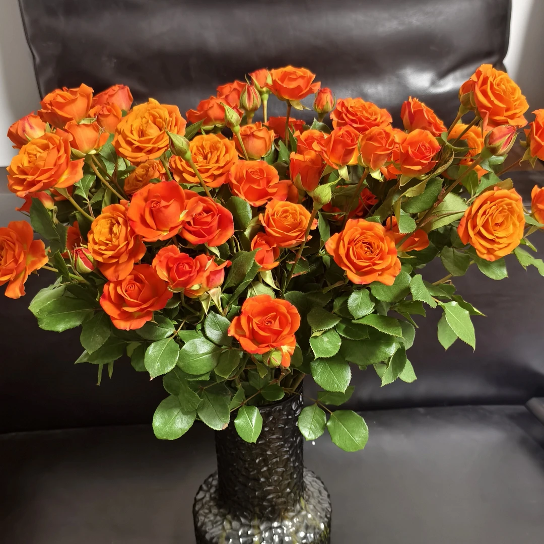家庭插花年宵花节日礼物花瓶插花橙芭比多头玫瑰同城配送