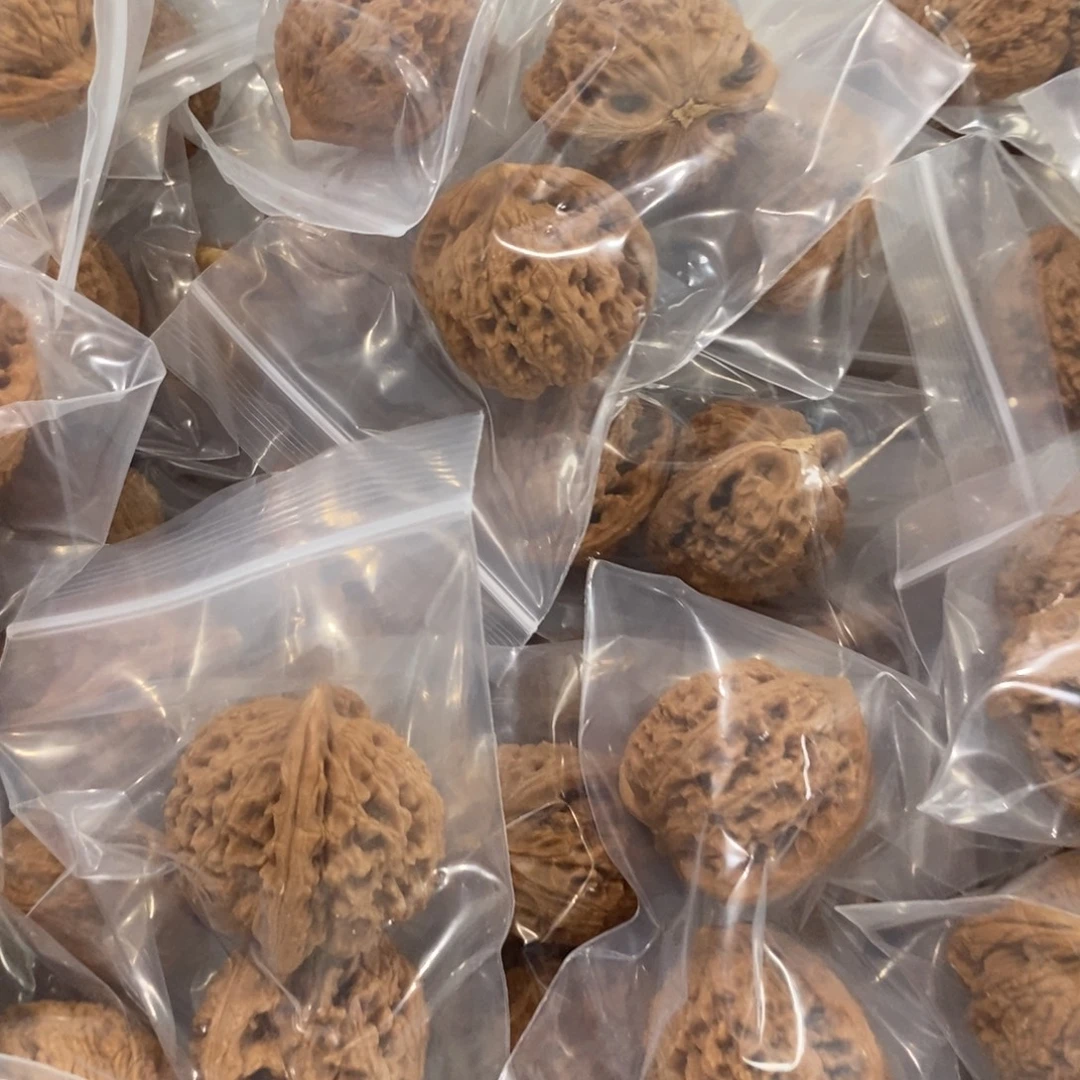 文玩核桃吊坠水龙破烂