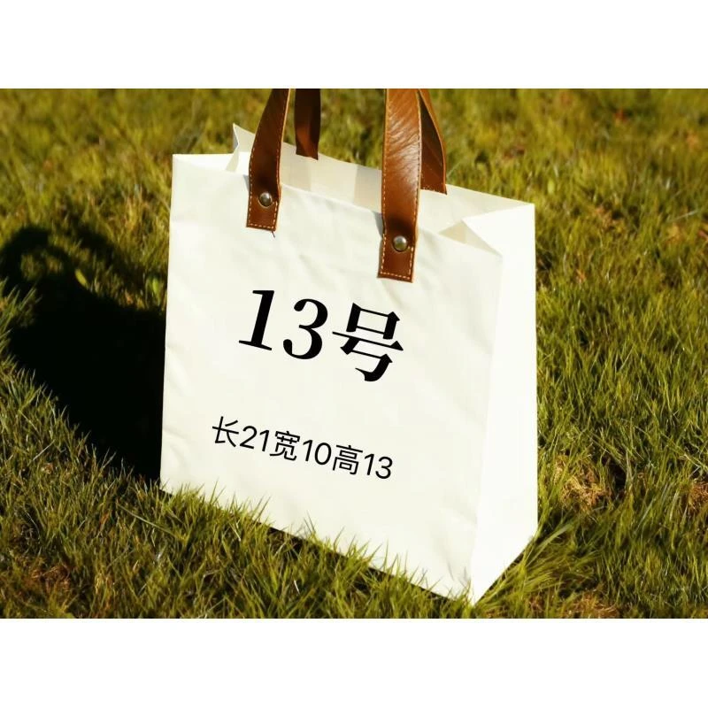 【13号】2025经典百搭新款单肩小包