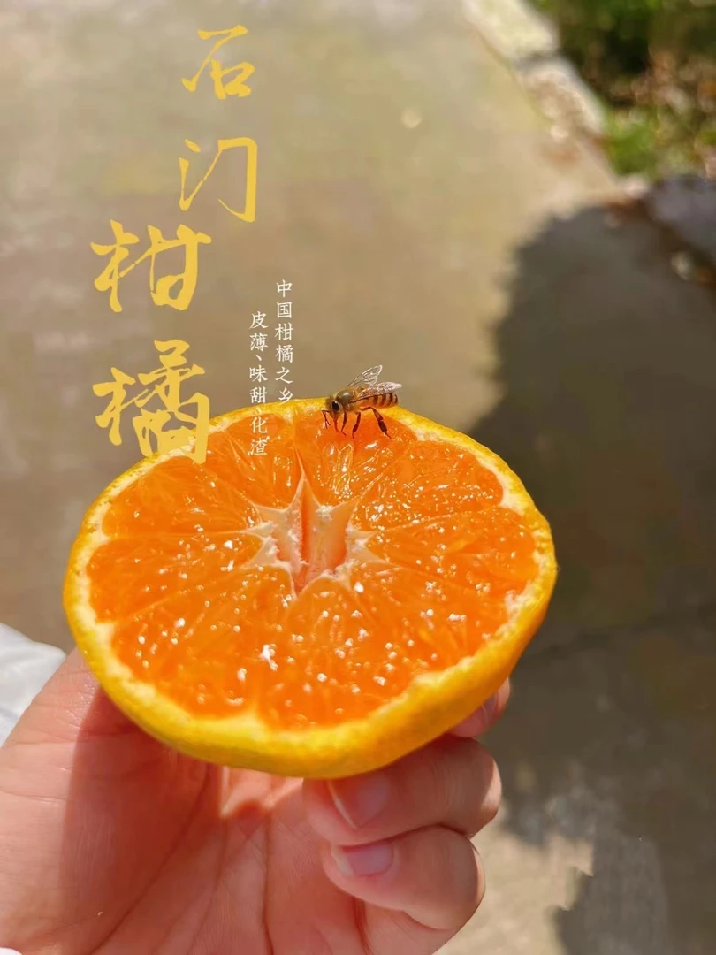 【橘哈哈】石门柑橘~中华名果 天然维生素C 化渣 纯天然 5斤9斤装