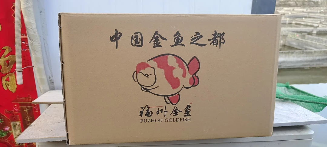 不退不换,加厚包装纸箱泡沫箱顺丰发货安全防护