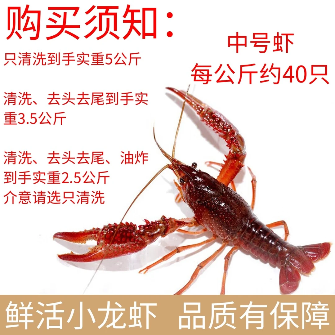 【鲜活中号小龙虾5公斤】曲靖同城小时达 免费清洗处理！去头去虾线小龙虾同城小龙虾同城小龙虾同城
