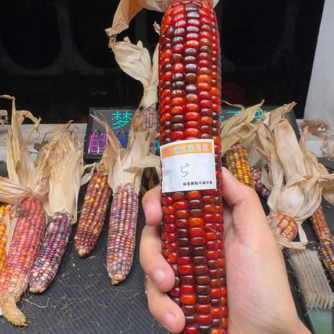 米***夏柏香籽/百香籽吊坠