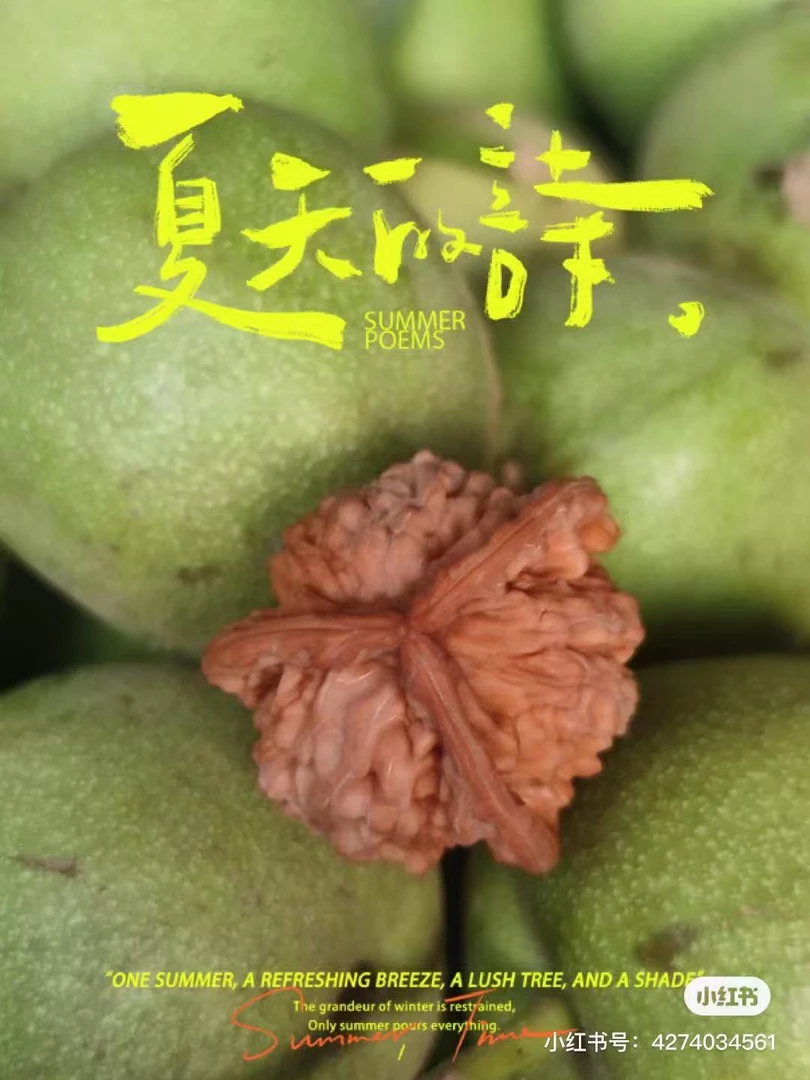 定制商品青皮 们们货号  qihewenwan