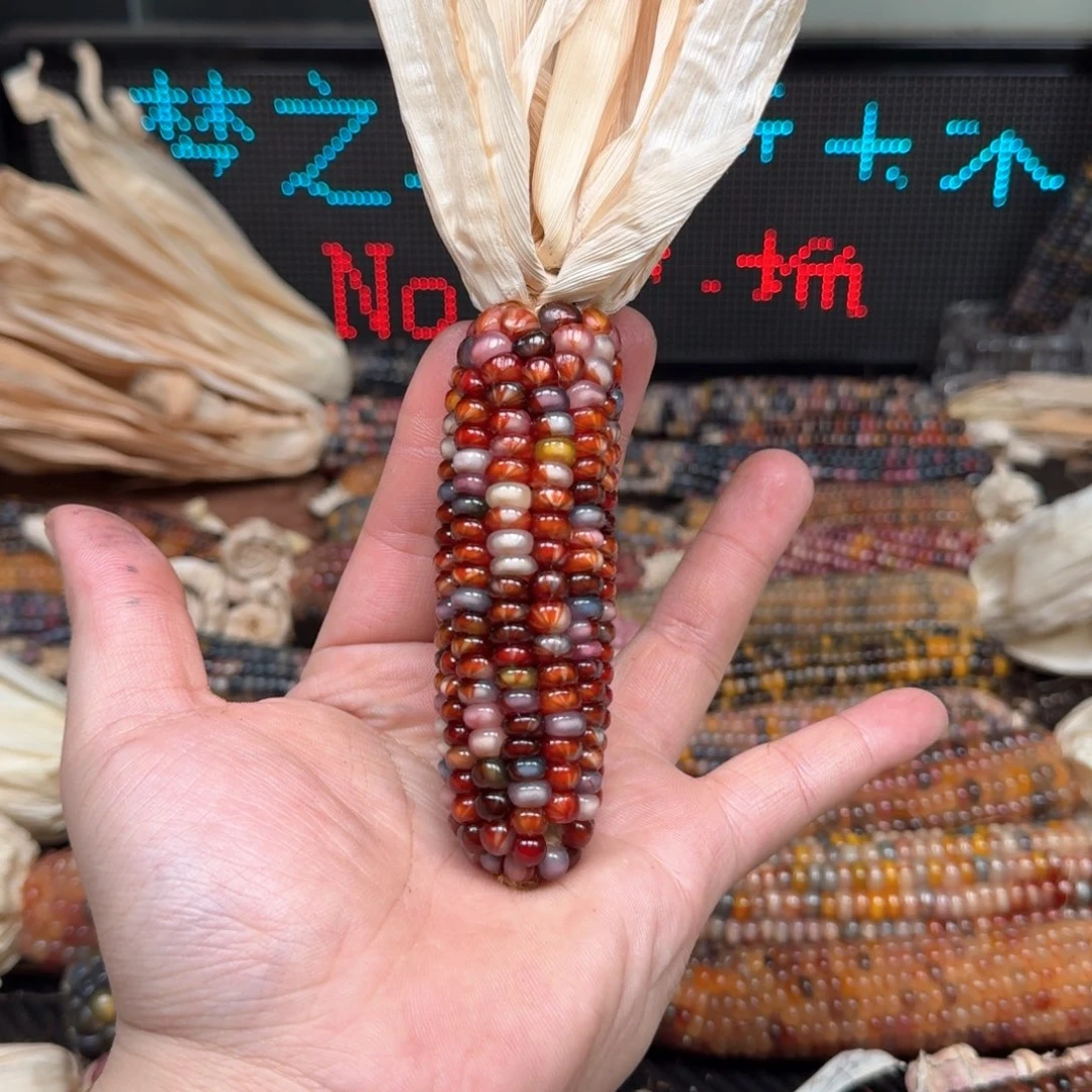 柏香籽/百香籽吊坠念*