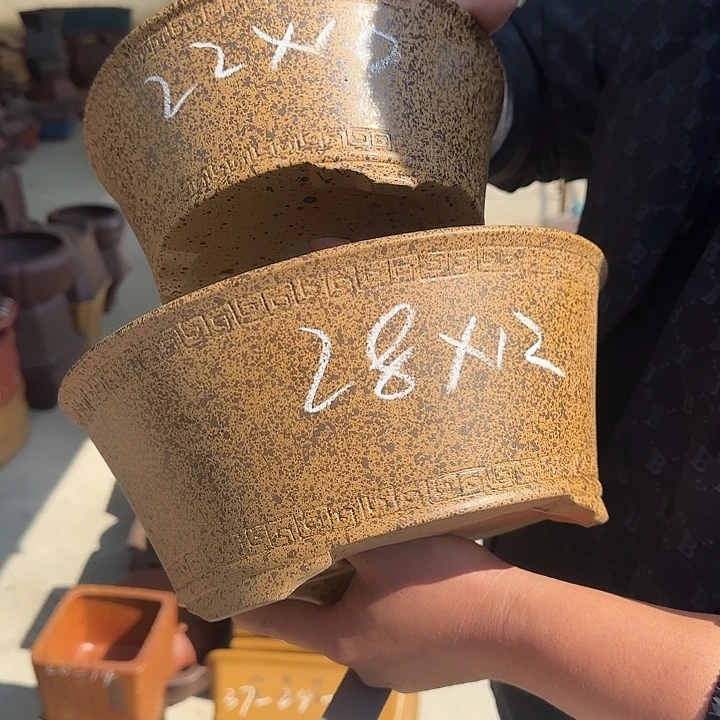 这是什么神仙爱情