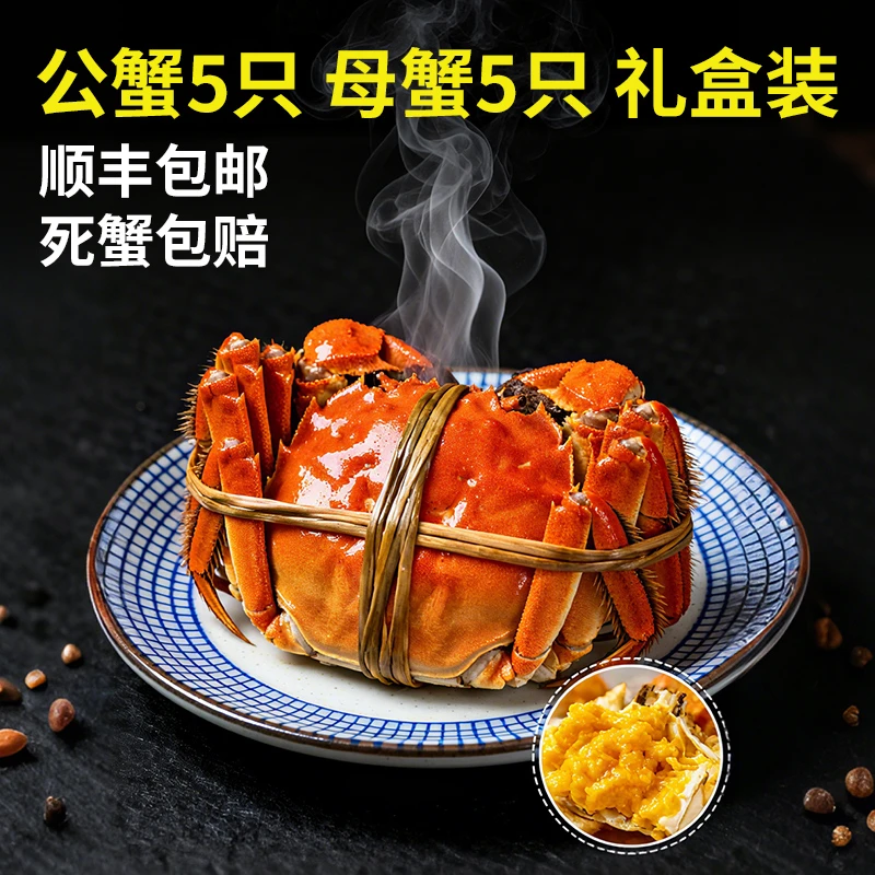 3.0两-5两公母鲜活现货大闸蟹8-10只活螃蟹精挑中秋送礼