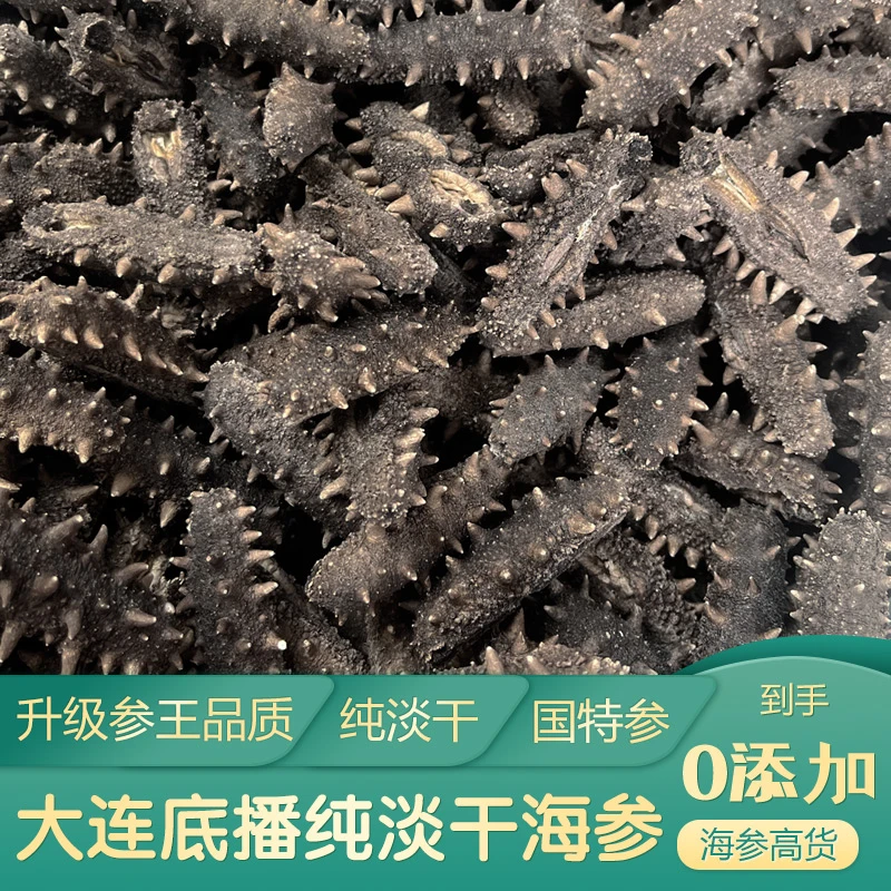 【国特】滋补纯淡干海参大连深水底播辽刺参辽参泡发即食营养高品质