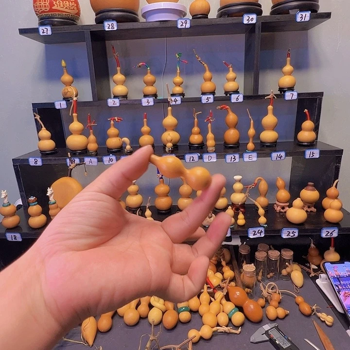 阳***章混纺蚂蚁蚂蚁蚂蚁蚂蚁