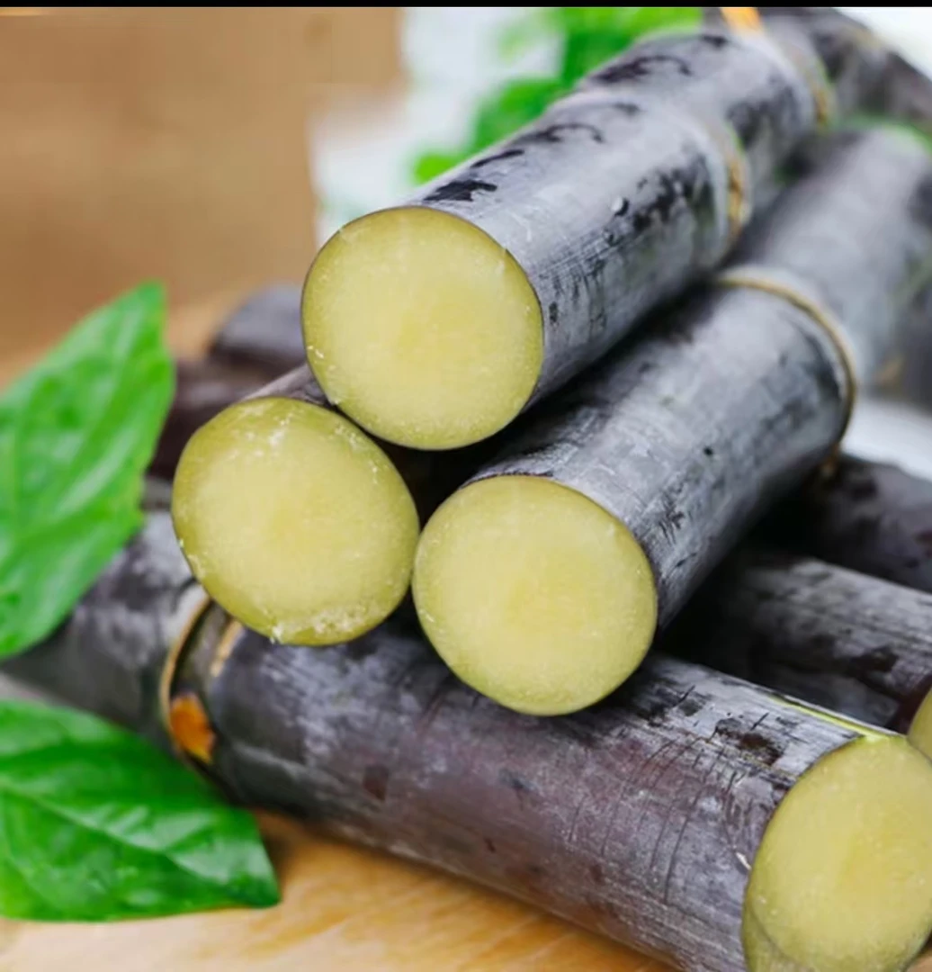 正宗黑皮甘蔗新鲜现砍脆甜多汁当季水果