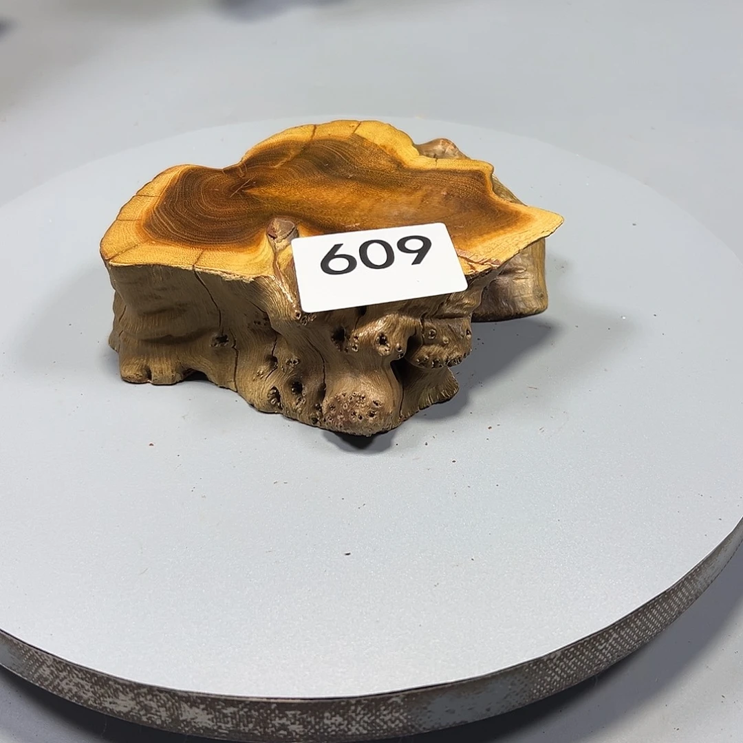 大果紫檀（缅甸花梨）山**7