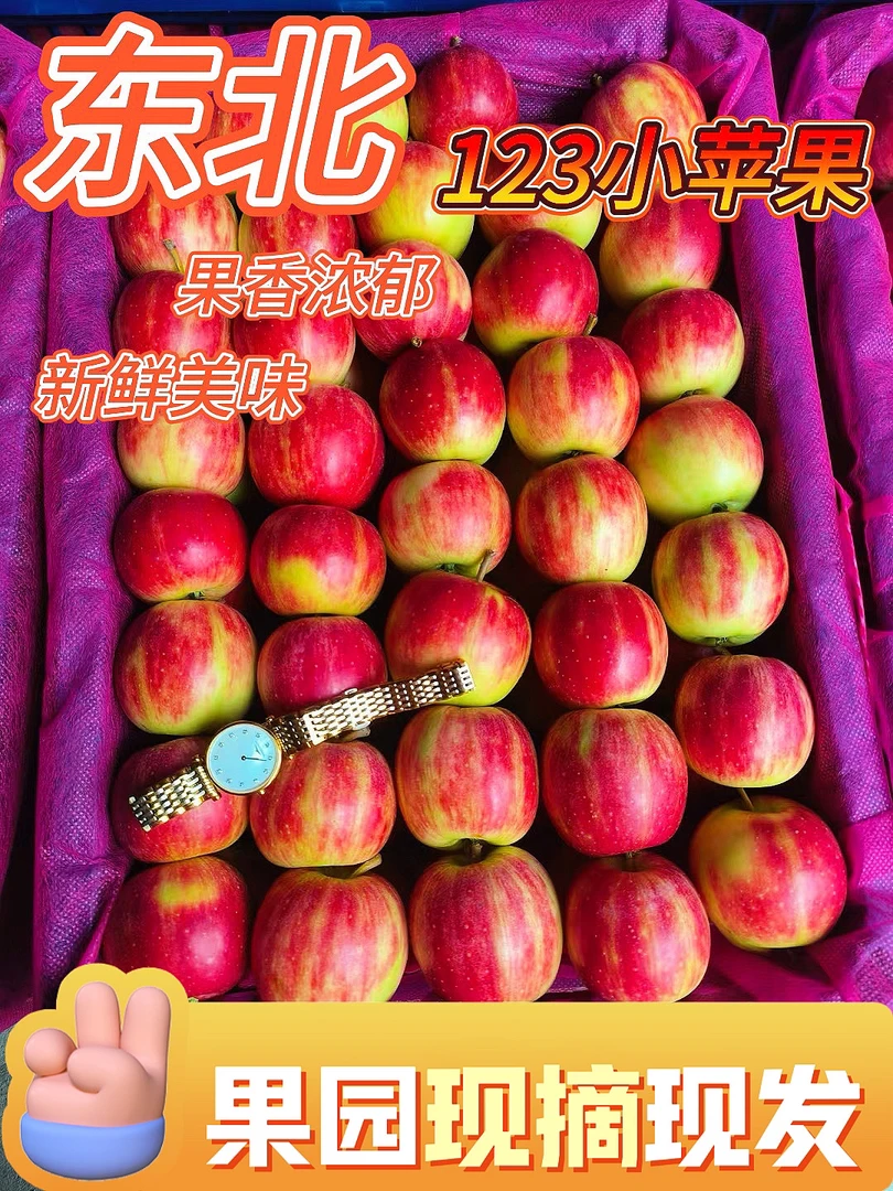 正宗东北123小苹果酸甜可口果香浓郁
