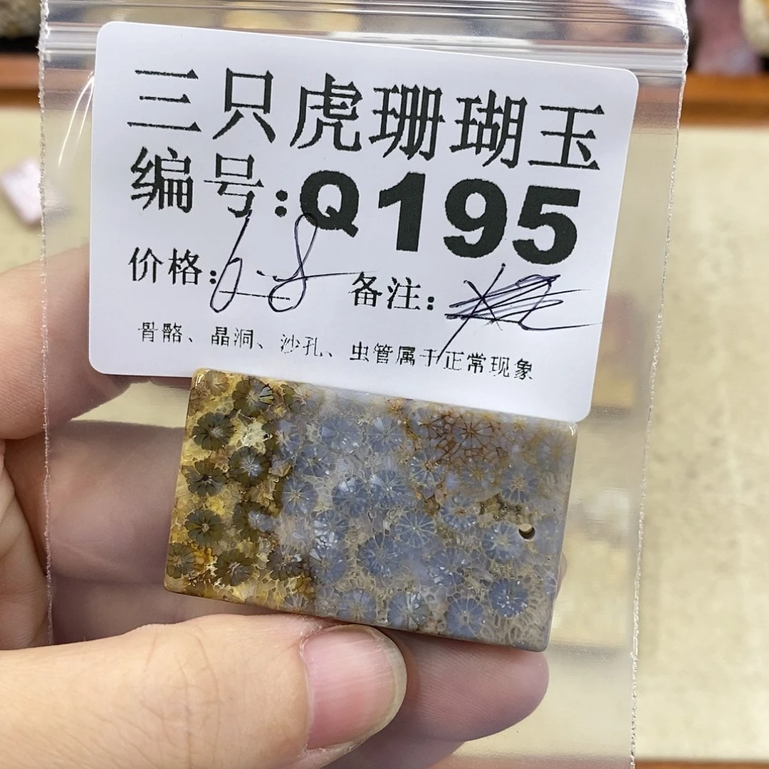 硅化珊瑚（珊瑚玉）1未镶嵌是***呀