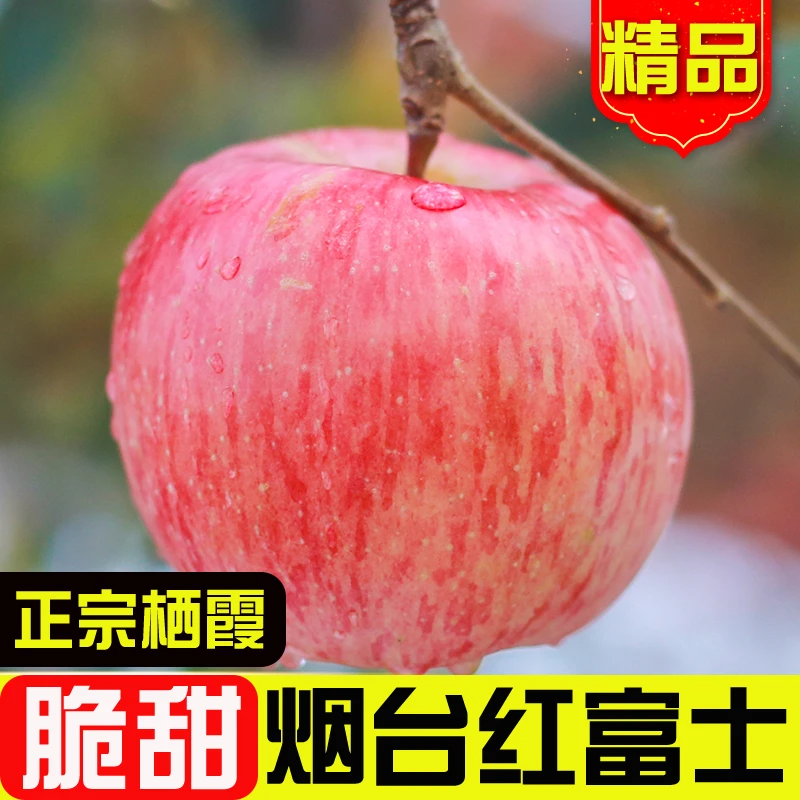 【邮政助农补贴】正宗山东烟台红富士苹果（坏果包赔）WZDR
