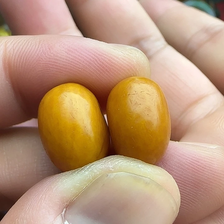 养***人吊坠白玉菩提精品