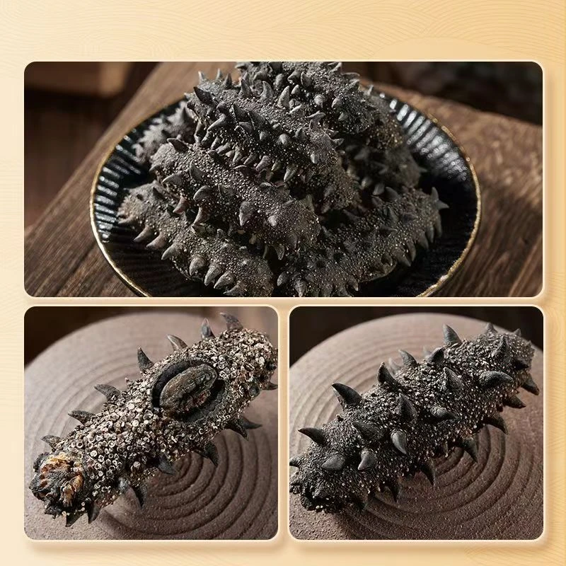 【4大盒赠1试吃+1泡发瓶】国标特级冷水速发高品质海参刺参  蜊干