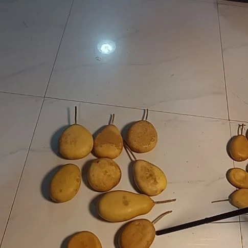 一***几红红火火恍恍惚惚回家好