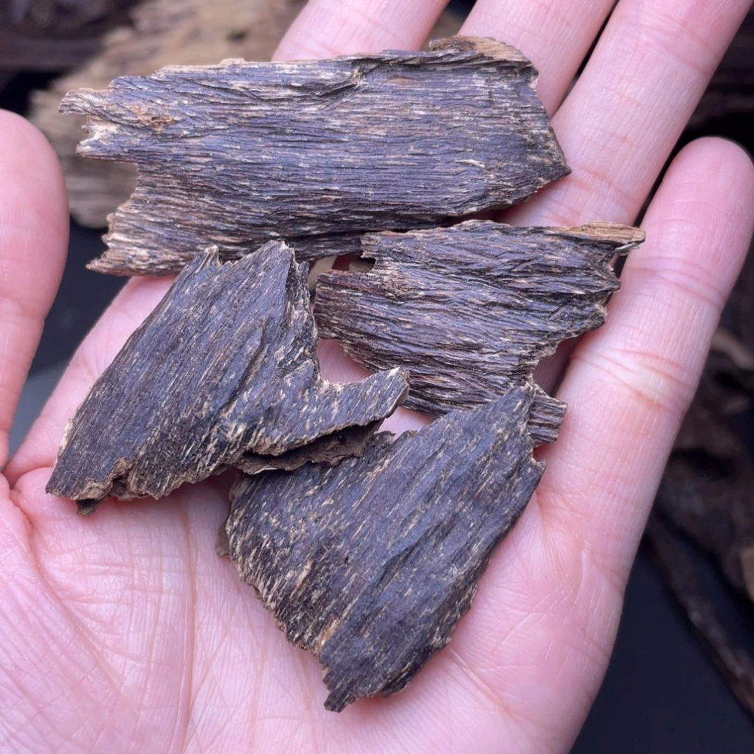 香榧木海南临高黑油虫漏10克