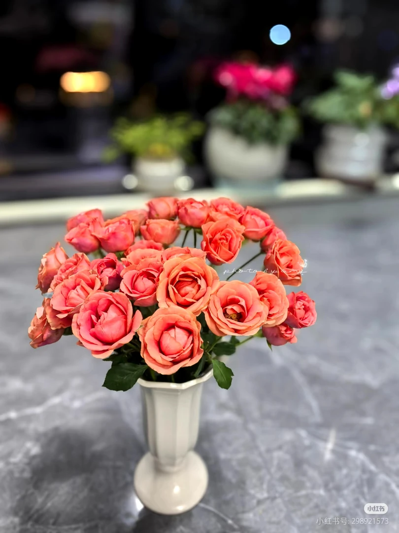 多头金鱼姬玫瑰10支 两单包邮一单或低温不拍保温冻坏不售后