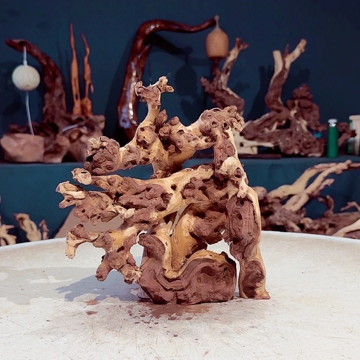 君***》木057金丝红木羊蹄甲半成品