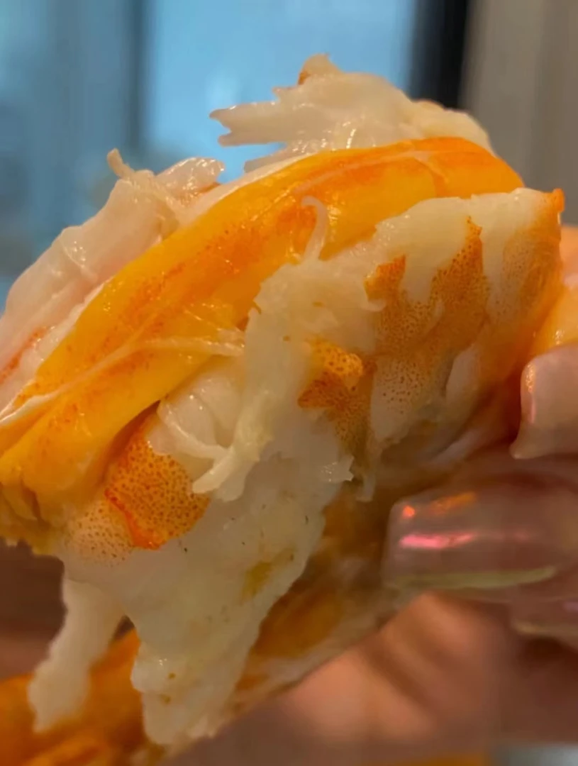 野生卢虾母（麻虾母）【12头左右/斤】广东汕尾本港 顺丰冷链