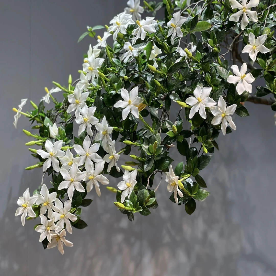 直播间一物一拍，海岛栀子花，春花，石枫，精品盆景，适合室内外装饰