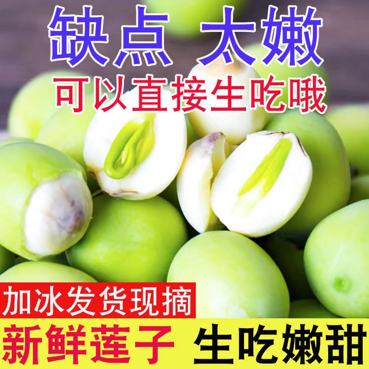 新鲜莲蓬生吃特嫩莲子米现摘太空莲嫩莲子米带芯水果莲蓬非洪湖莲